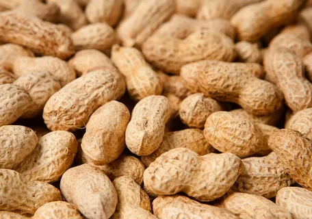تصویر 4 از قیمت مغز بادام زمینی با کیفیت  + خرید باورنکردنی